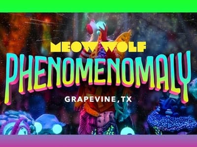 Phenomenomaly at Meow Wolf Grapevine